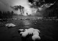 Snow in Yosemite Poster och Canvastavla