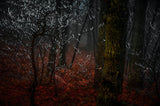 Impressions in the Woods Poster och Canvastavla