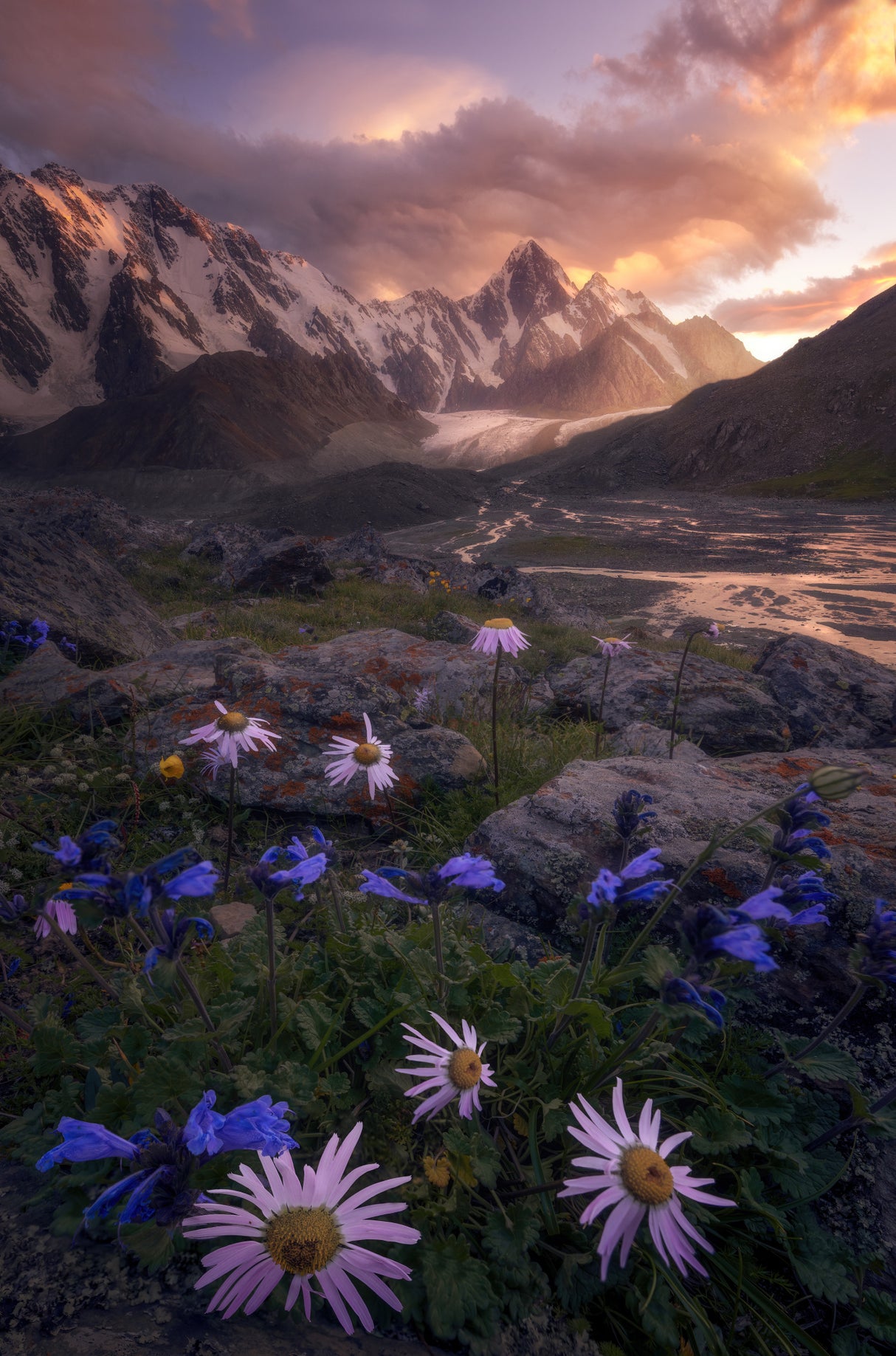 those flowers Poster och Canvastavla