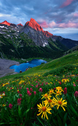 Colorful Colorado Poster och Canvastavla