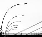 Bridge Poster och Canvastavla