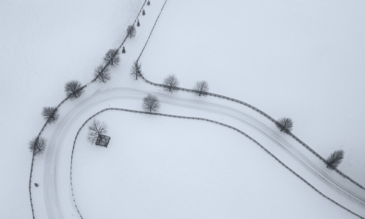 Winter Horse Farm Poster och Canvastavla