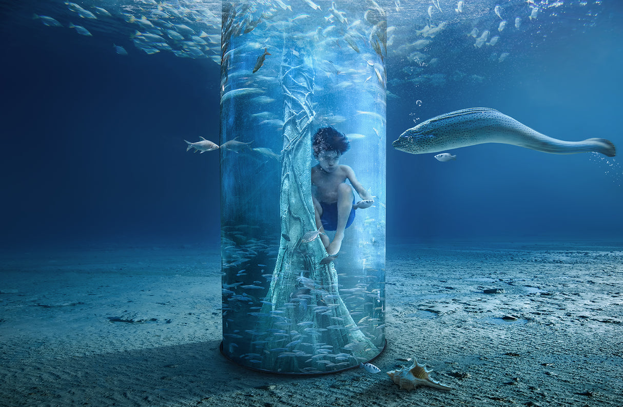 Underwater Poster och Canvastavla