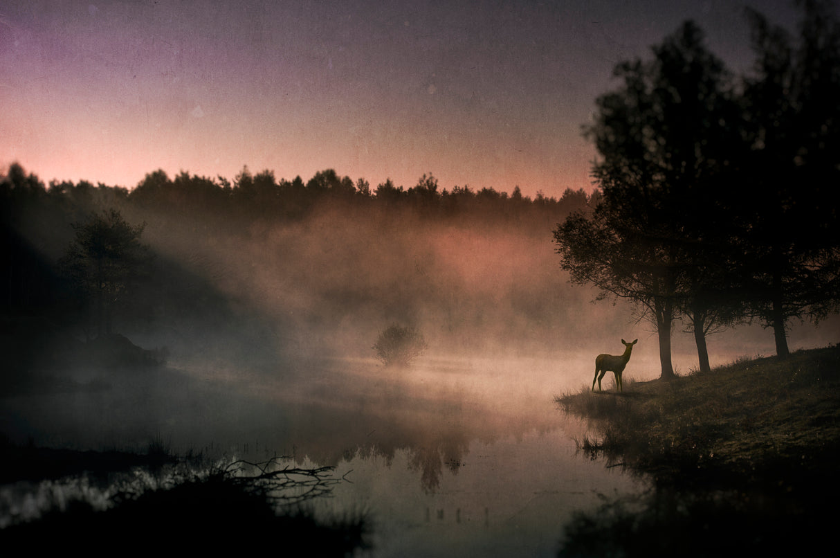 Steamy water........... Poster och Canvastavla