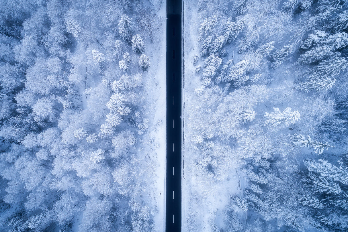 A Frosty Road Poster och Canvastavla