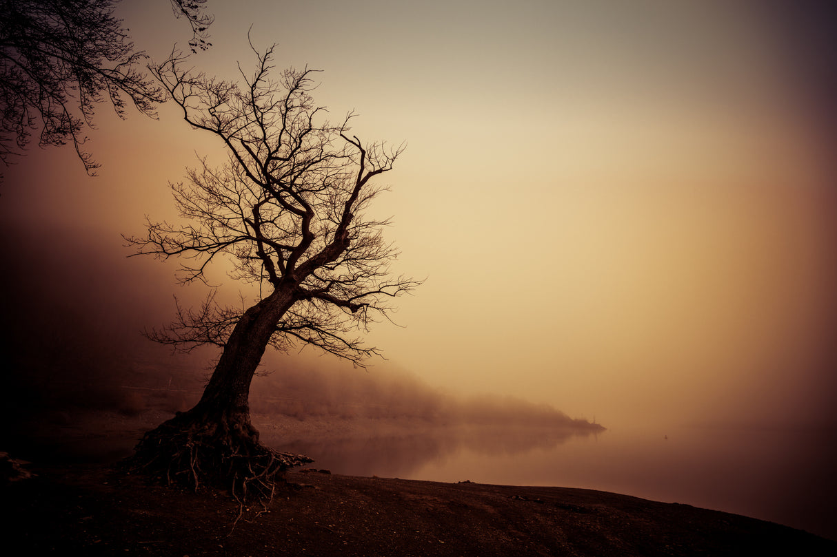 January Lakemood Poster och Canvastavla