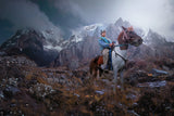 The Horseman Poster och Canvastavla