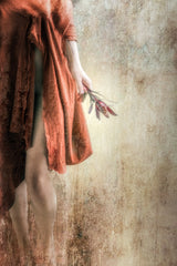 ‘...when nobody knows who you are...’ Poster och Canvastavla