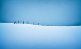 Clôture ... à neige Poster och Canvastavla