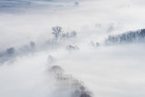 Winter Poster och Canvastavla