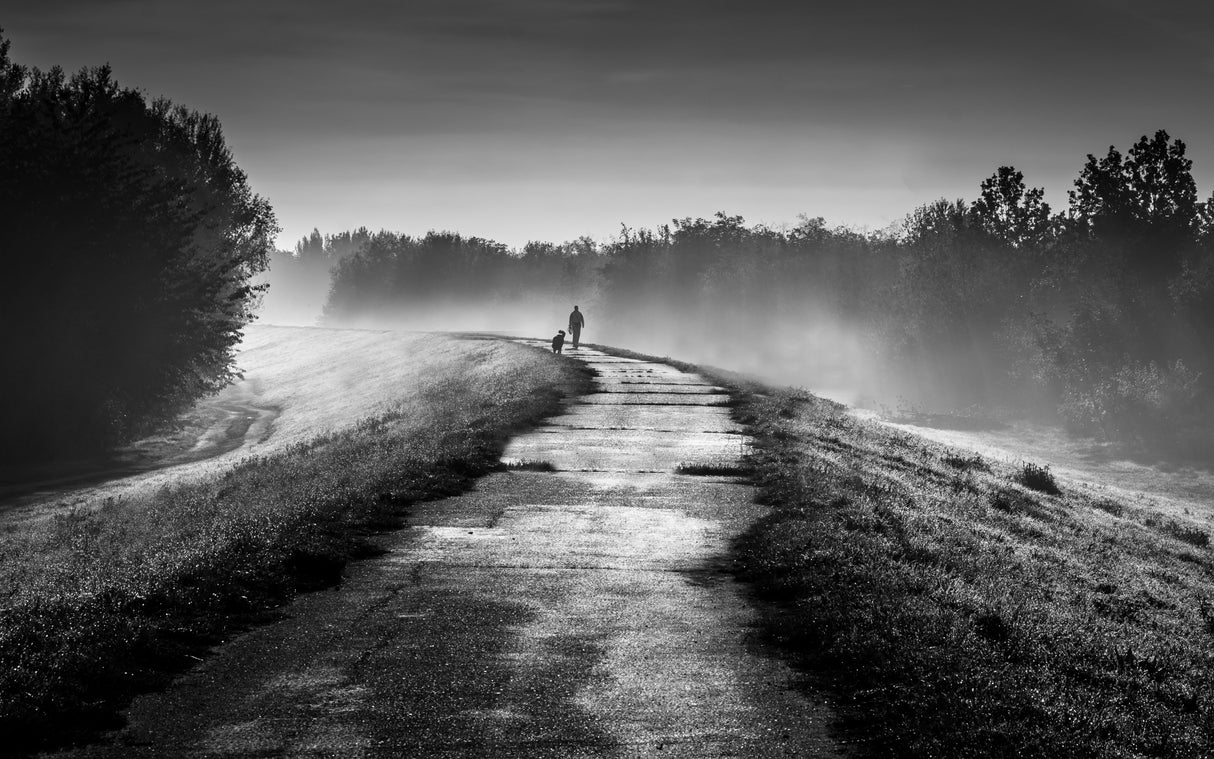 Autumn morning Poster och Canvastavla
