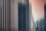 City watchers Poster och Canvastavla