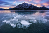Paradise of ice Poster och Canvastavla