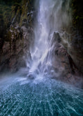 Stirling Falls along Milford Sound Poster och Canvastavla