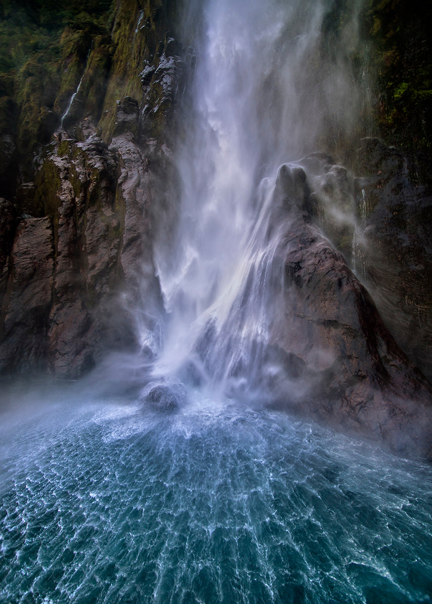 Stirling Falls along Milford Sound Poster och Canvastavla