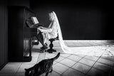 The cat Poster och Canvastavla