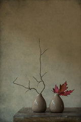 Strange companions Poster och Canvastavla