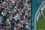 Baseball  park Poster och Canvastavla
