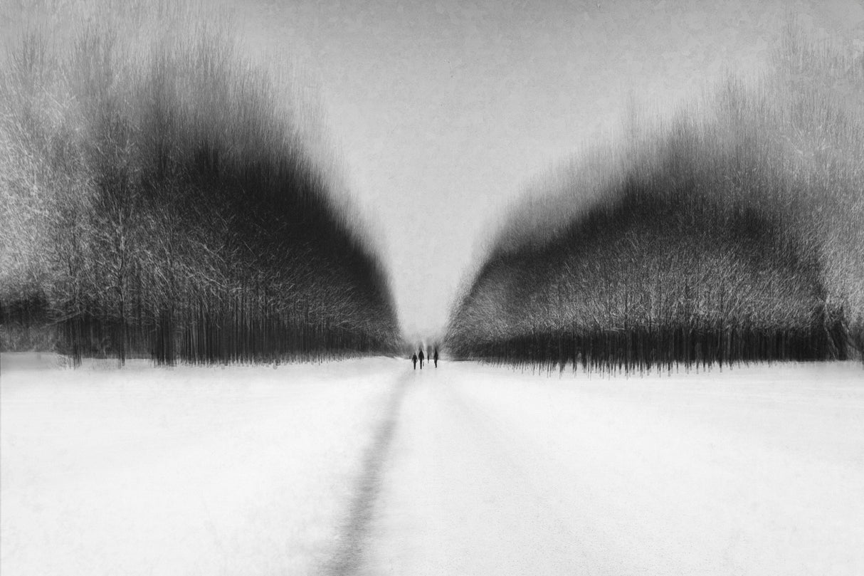 snow walk Poster och Canvastavla