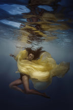 Underwater Lily Poster och Canvastavla