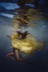 Underwater Lily Poster och Canvastavla