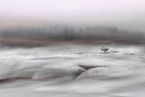 Winter silence Poster och Canvastavla