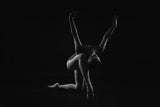 the final time. the ballerina, standing on one knee and leaning forward, spread her arms up Poster och Canvastavla