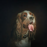 Mr Charlie Poster och Canvastavla