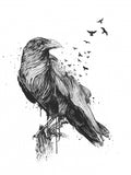Born to be free Poster och Canvastavla