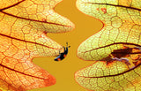 Winding Road Poster och Canvastavla