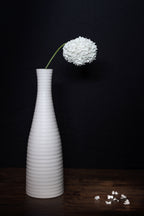 Snowball Poster och Canvastavla