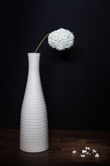 Snowball Poster och Canvastavla