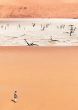 Walking in deadvlei Poster och Canvastavla