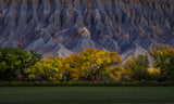 Autumn Gold in Badlands Poster och Canvastavla