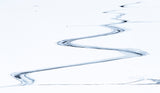 lines on the ice Poster och Canvastavla