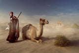 Life of the desert Poster och Canvastavla