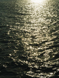 sea waves at sunset Poster och Canvastavla