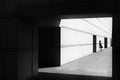 Monochrome 1 Poster och Canvastavla