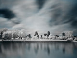 Winter City Poster och Canvastavla