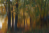 Fall Impression #1 Poster och Canvastavla