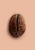 Brain Bean Poster och Canvastavla