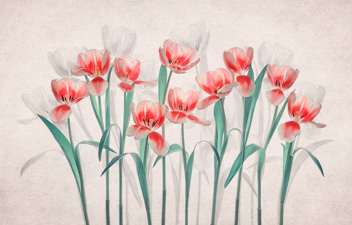 Joy of Spring Poster och Canvastavla