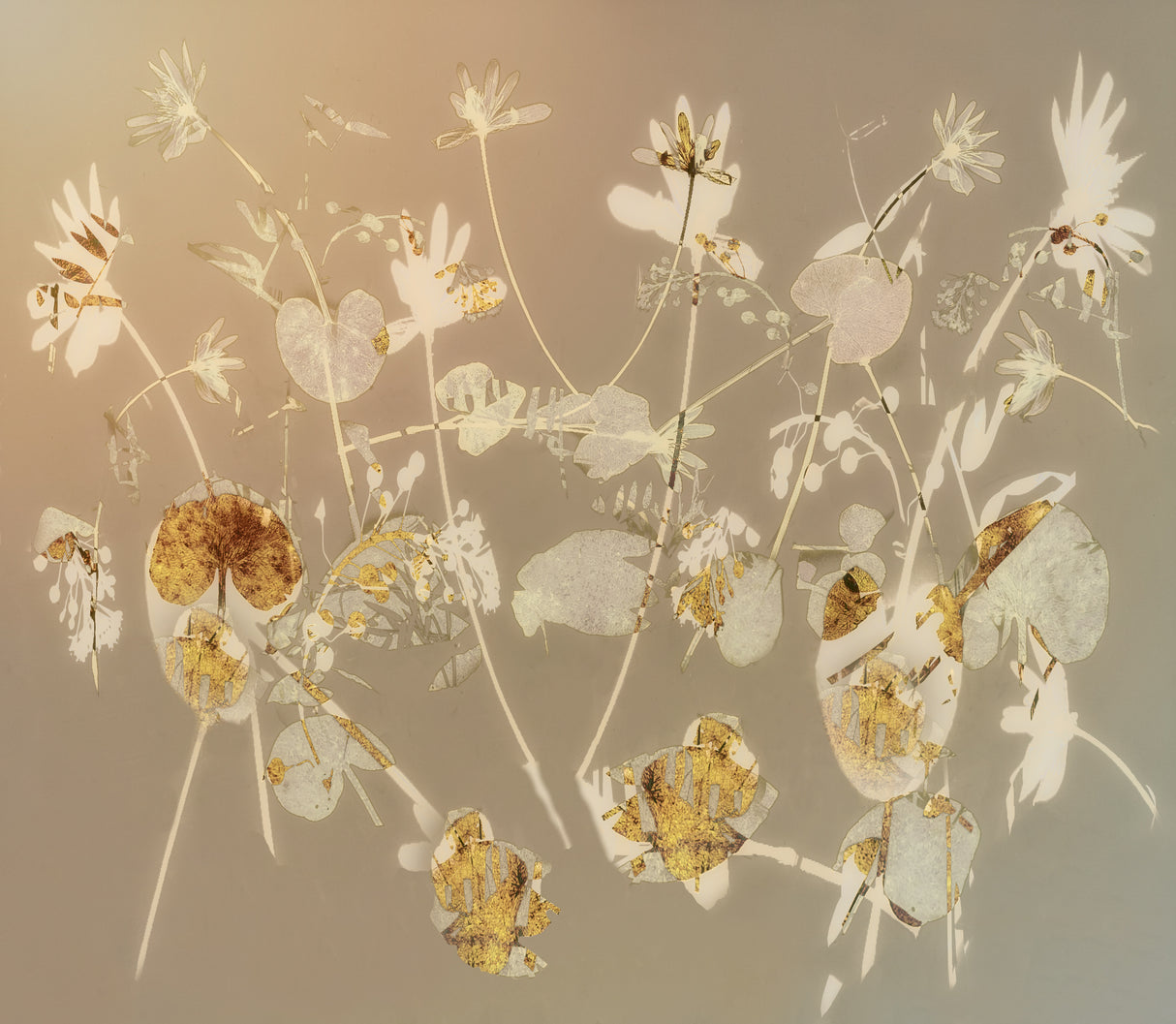 Happy flowers Poster och Canvastavla