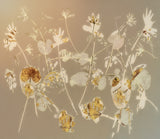 Happy flowers Poster och Canvastavla