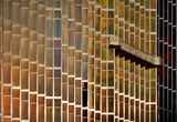 The windows cleaner Poster och Canvastavla