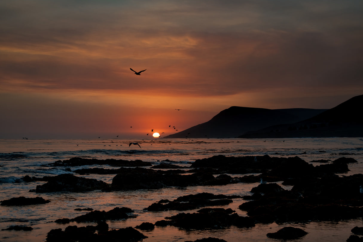 Orange Sunset Poster och Canvastavla