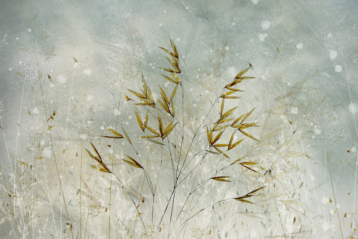Wintertime Poster och Canvastavla