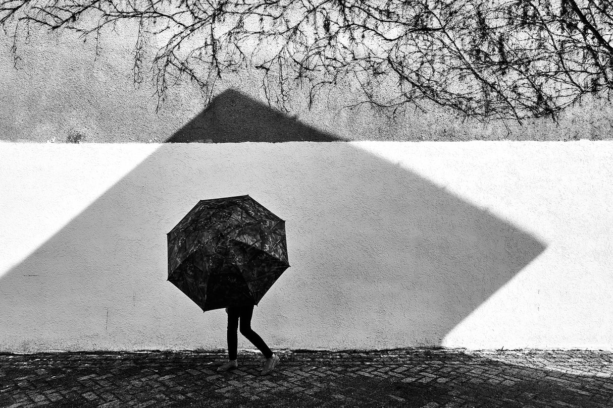 Shadow Geometry Poster och Canvastavla