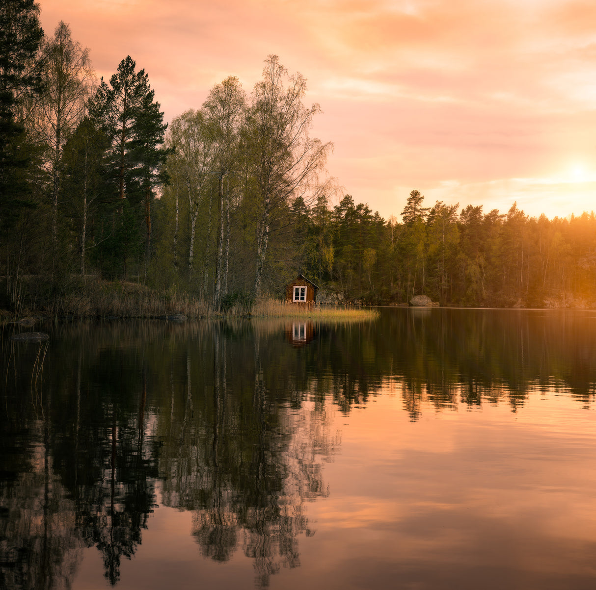 The little red house Poster och Canvastavla