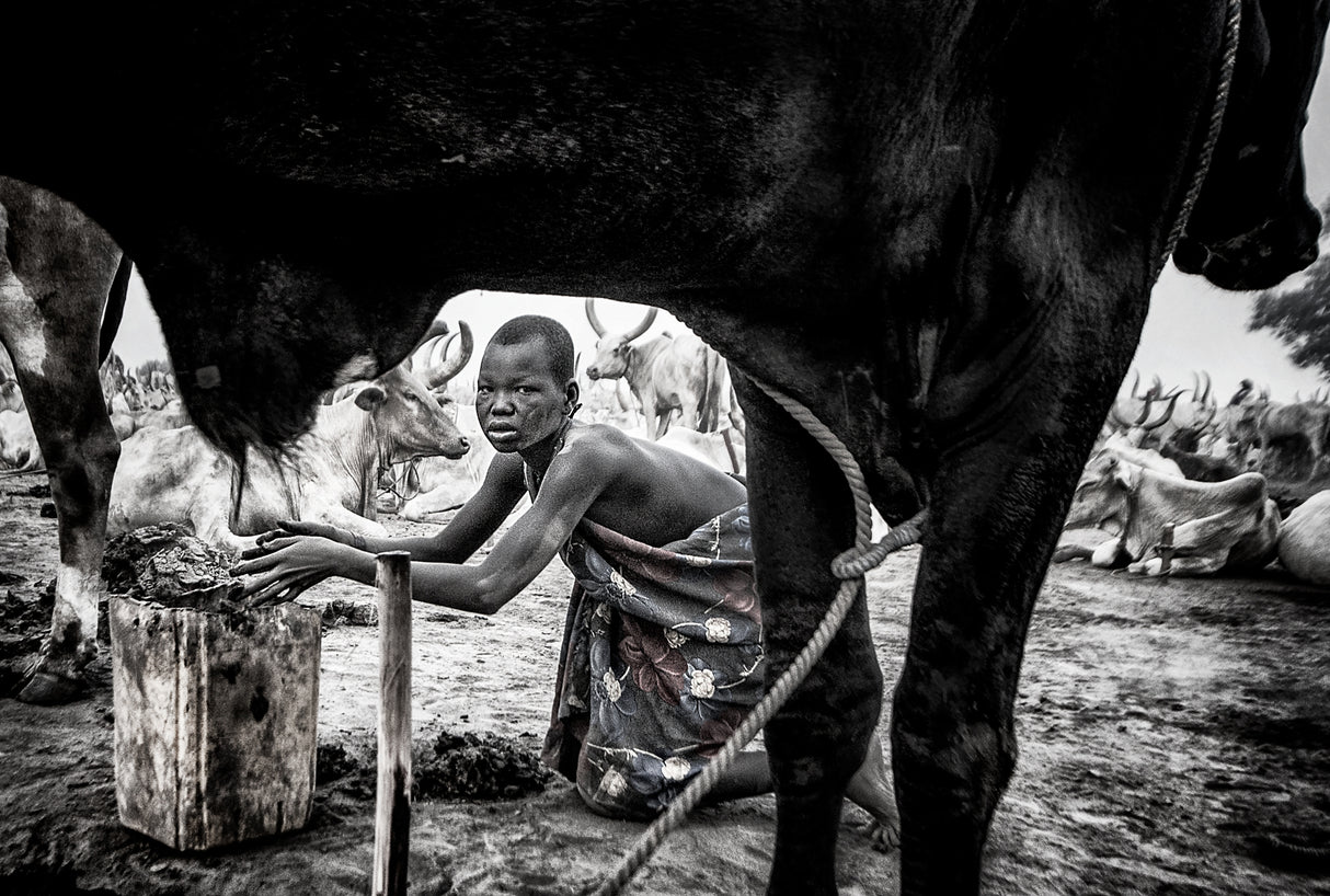 A scene in a mundari cattle camp-III - South Sudan Poster och Canvastavla